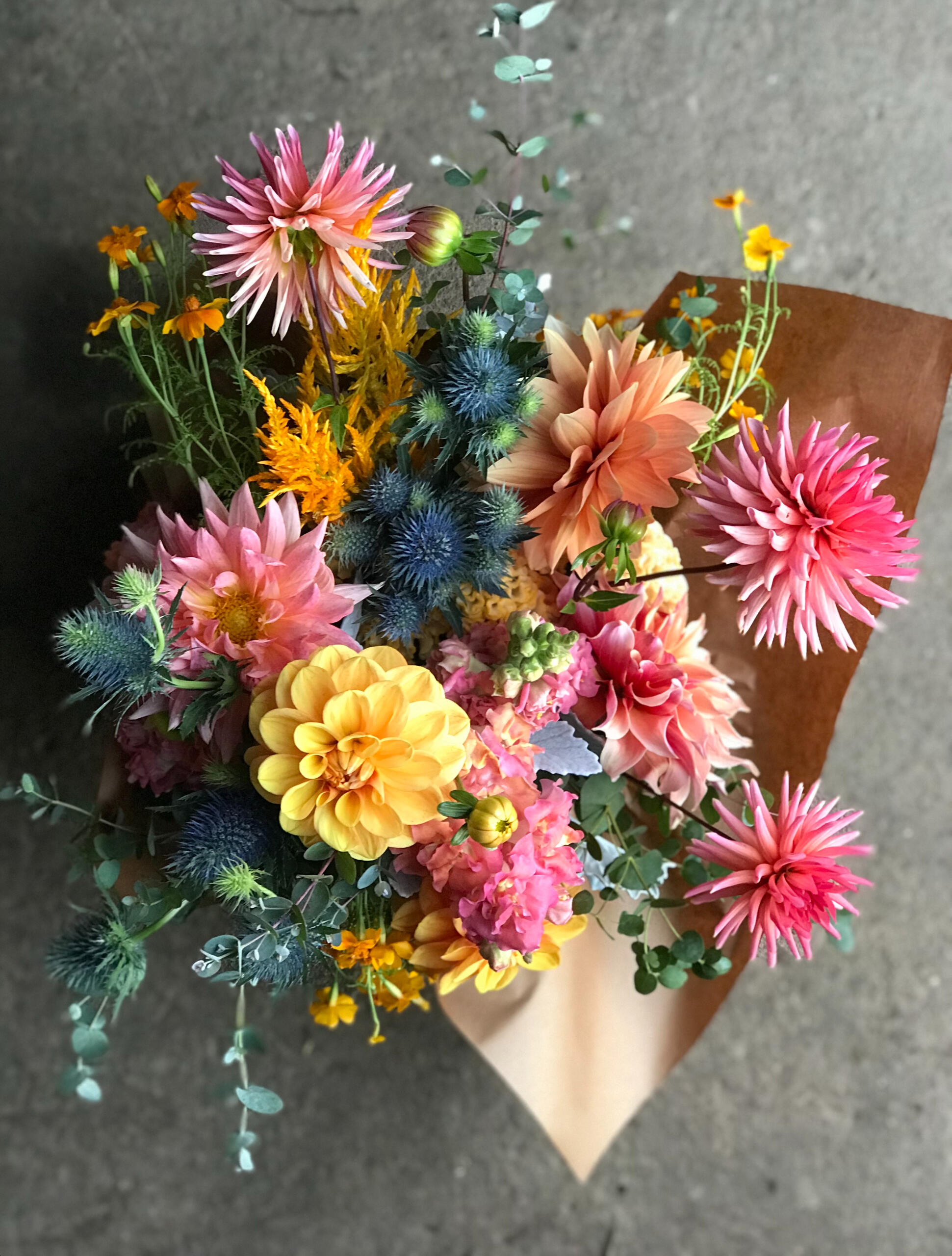 dahlia, fall flowers #localflowers #dahlias