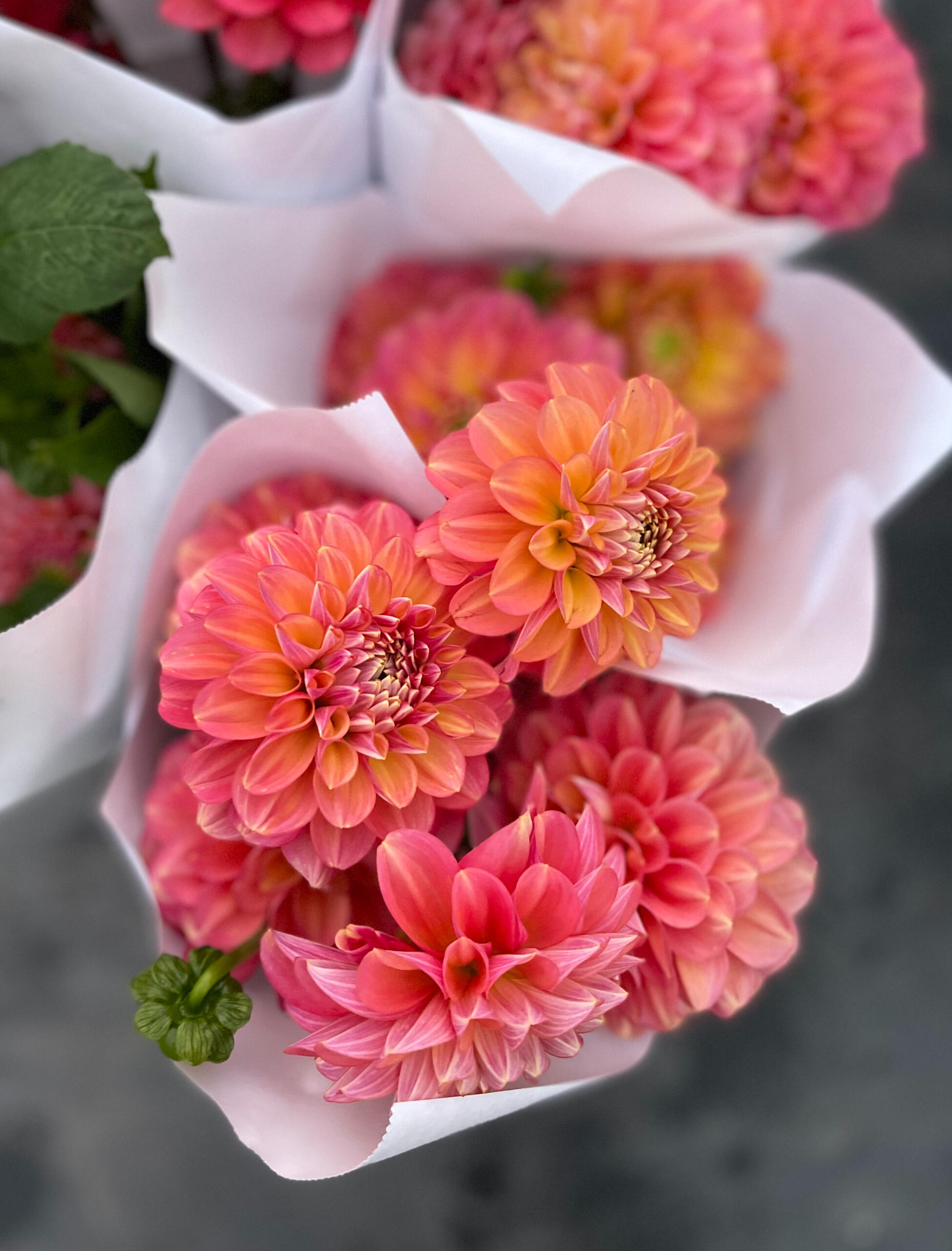 #dahlias #farmersmarket #localflowers